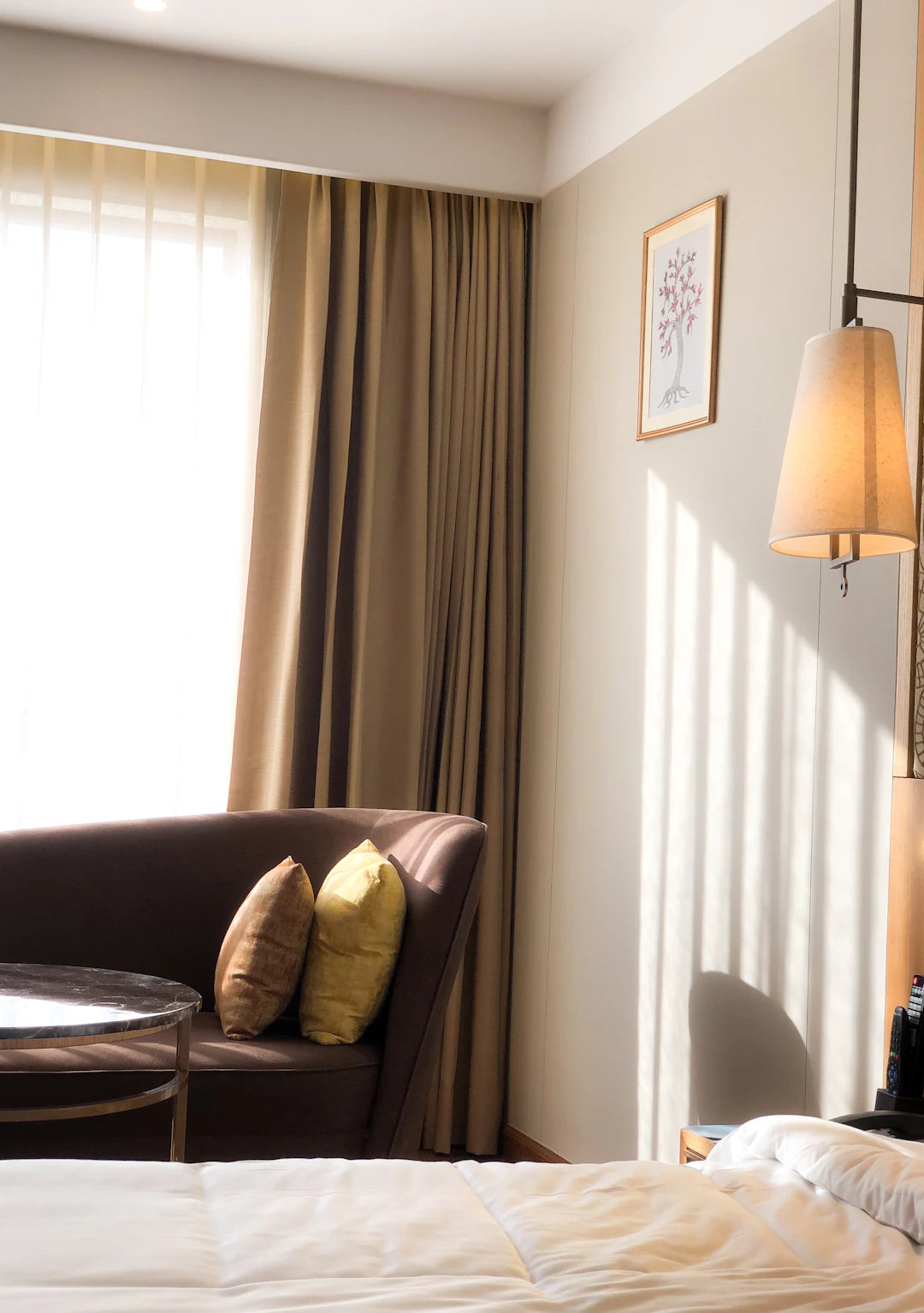 Sofa Beds vs. Traditional Beds Which is Best for You